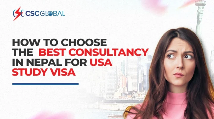 Best Consultancy for USA